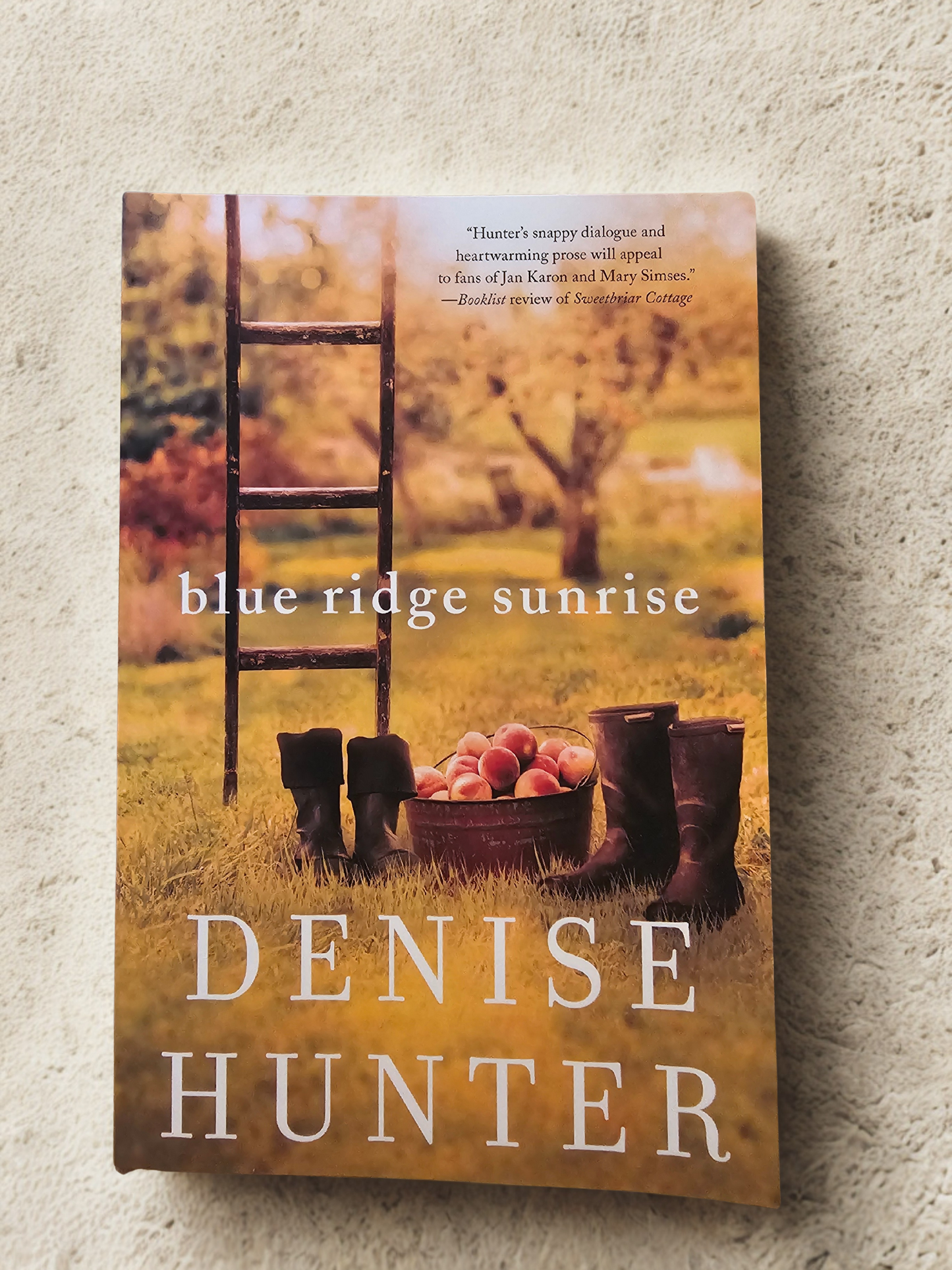 Blue Ridge Sunrise Author Denise